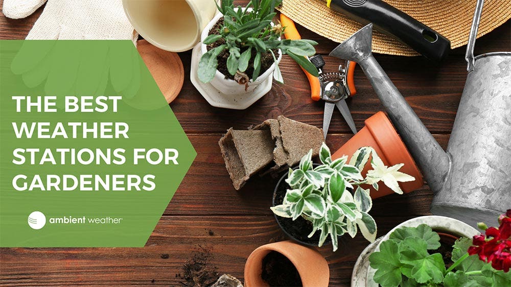 The Best Weather Stations for Gardeners  